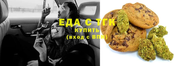 индика Абаза