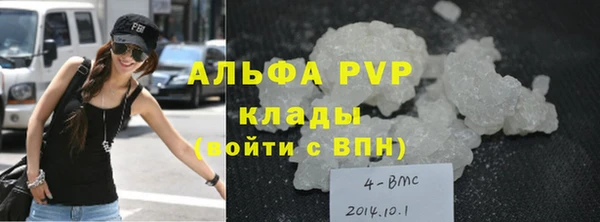 индика Абаза