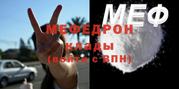 индика Абаза