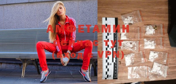 индика Абаза