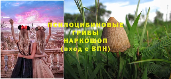 ECSTASY Козловка