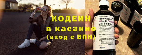 индика Абаза