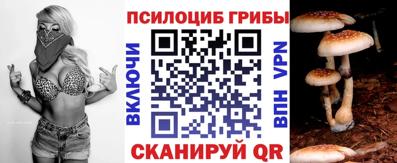 Галлюциногенные грибы ЛСД  Костерёво 
